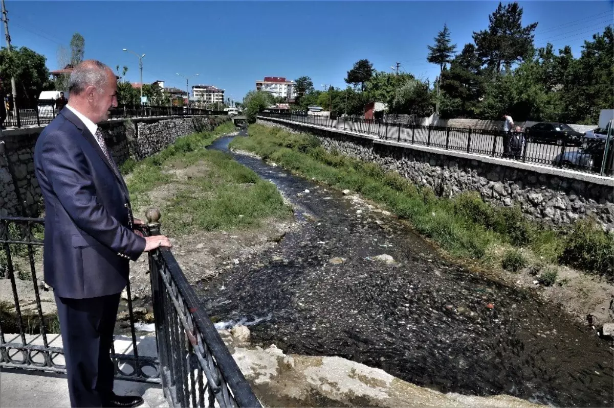 İnci kefali balığını koruma çalışmaları