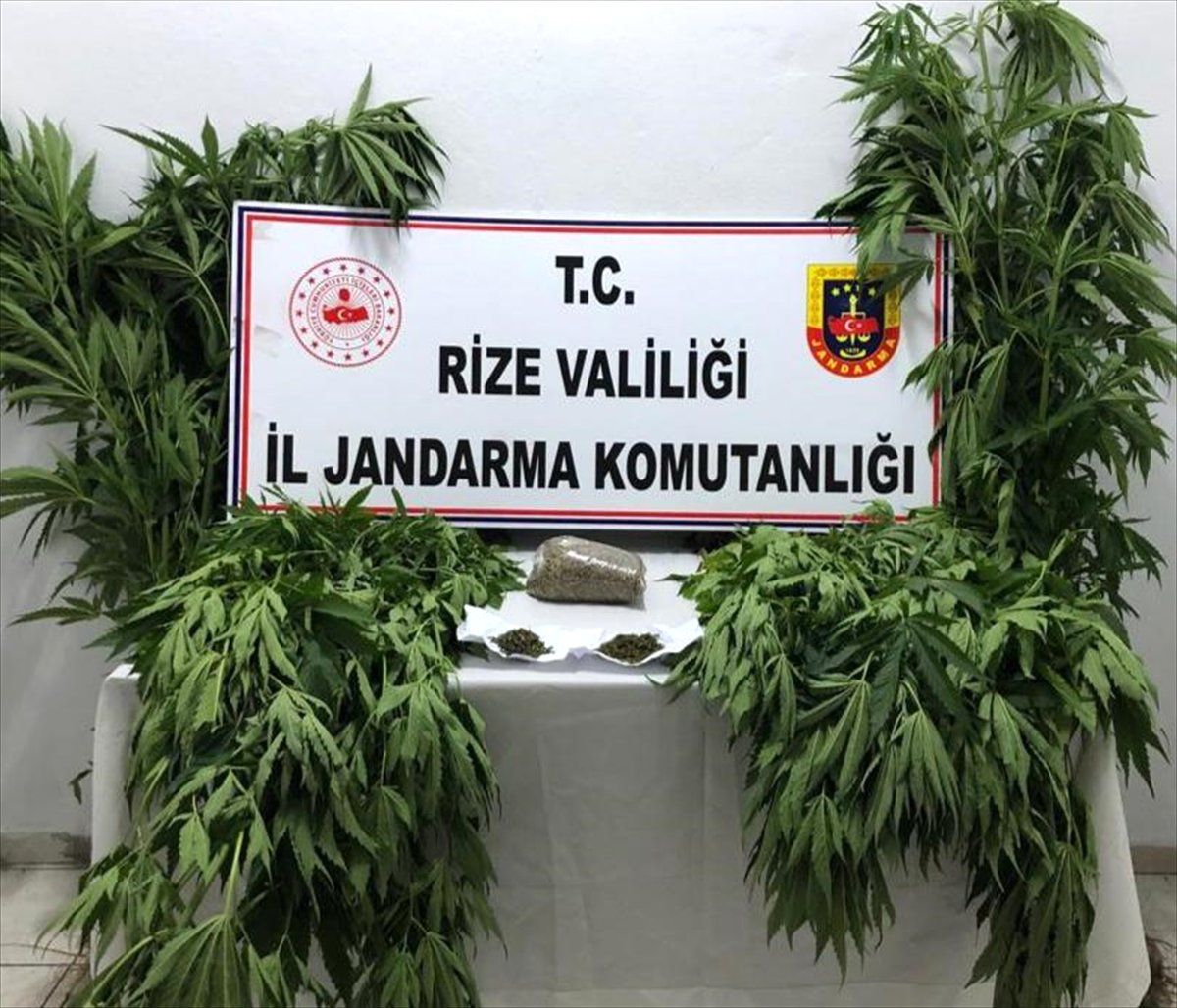 Rize\'de Hint keneviri operasyonu