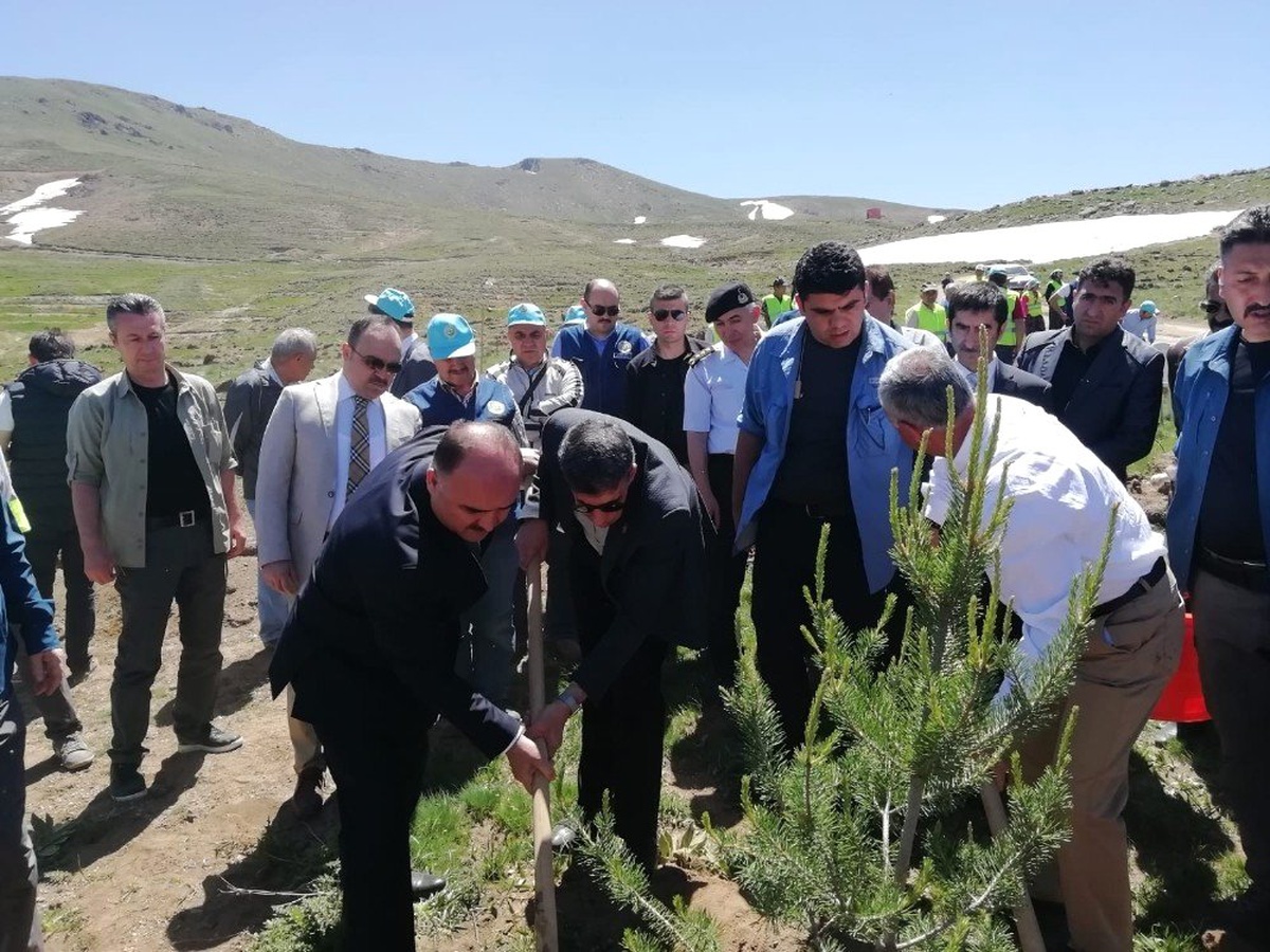 Vali Günaydın, "Kayseri\'nin Orman Varlıklarının Durumu İç Açıcı Değil"