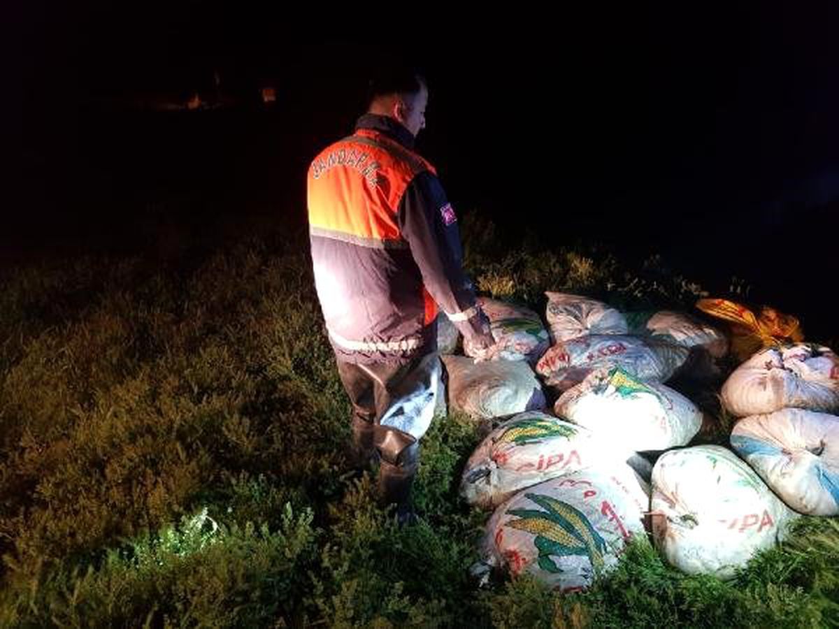 Van\'da kaçak avlanan 10 ton inci kefali ele geçirildi