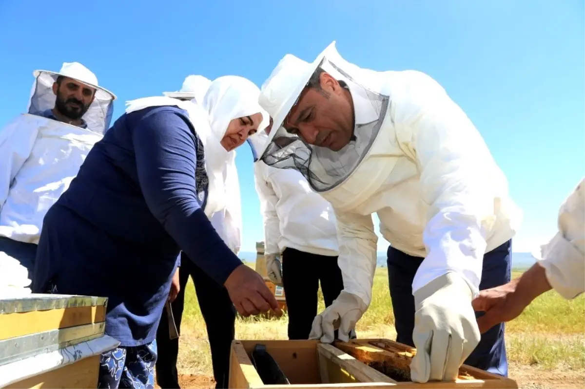 Bingöl\'ün balına değer katacak proje "Ana arı ve sütü üretimi"