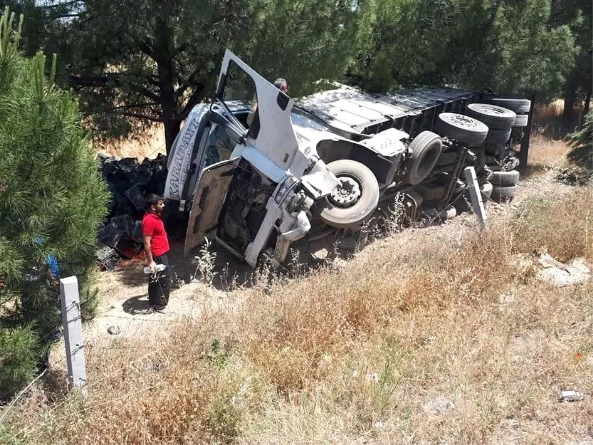 Devrilen kamyondaki tonlarca domates etrafa saçıldı