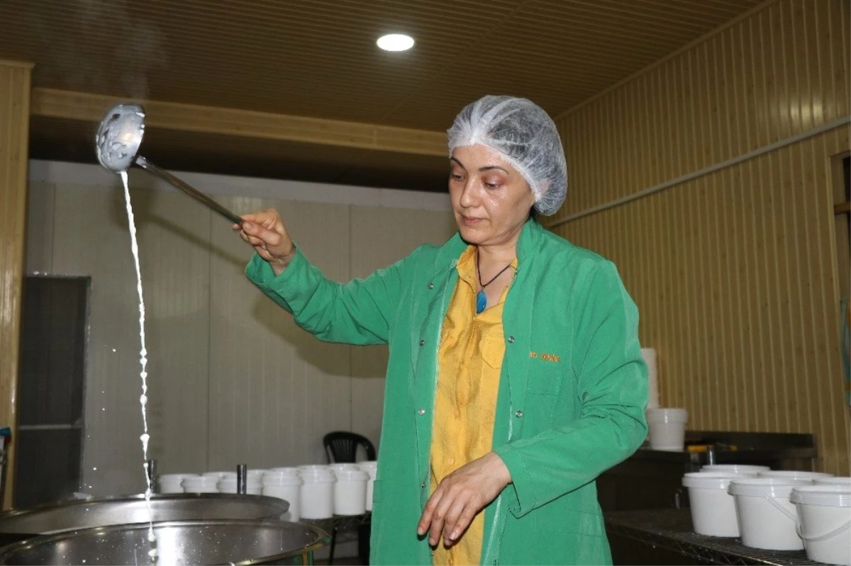 Kadın girişimci mandanın etinden ve sütünden 8 çeşit ürün üretiyor