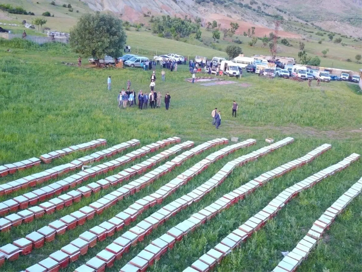 Siirt\'te arıcılık devlet desteği ile yaygınlaşıyor