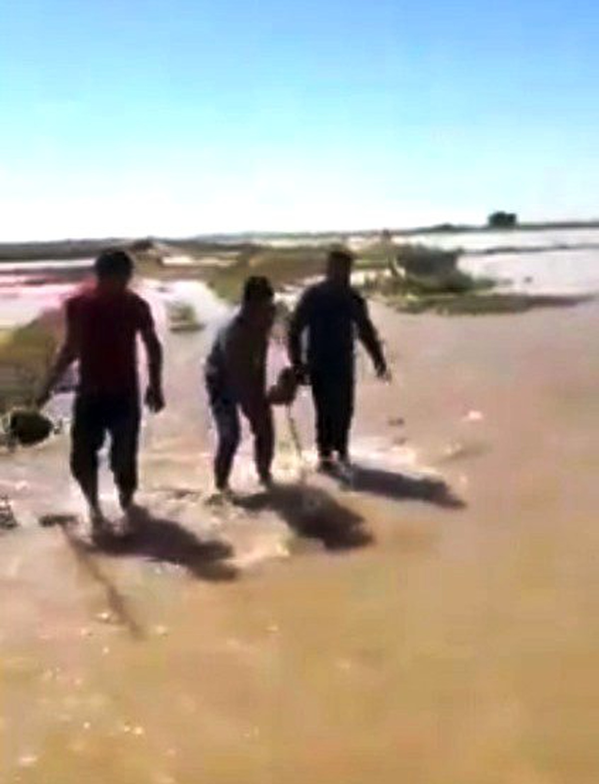 Suruç\'ta sulama borusu patladı, tarlalar su altında kaldı