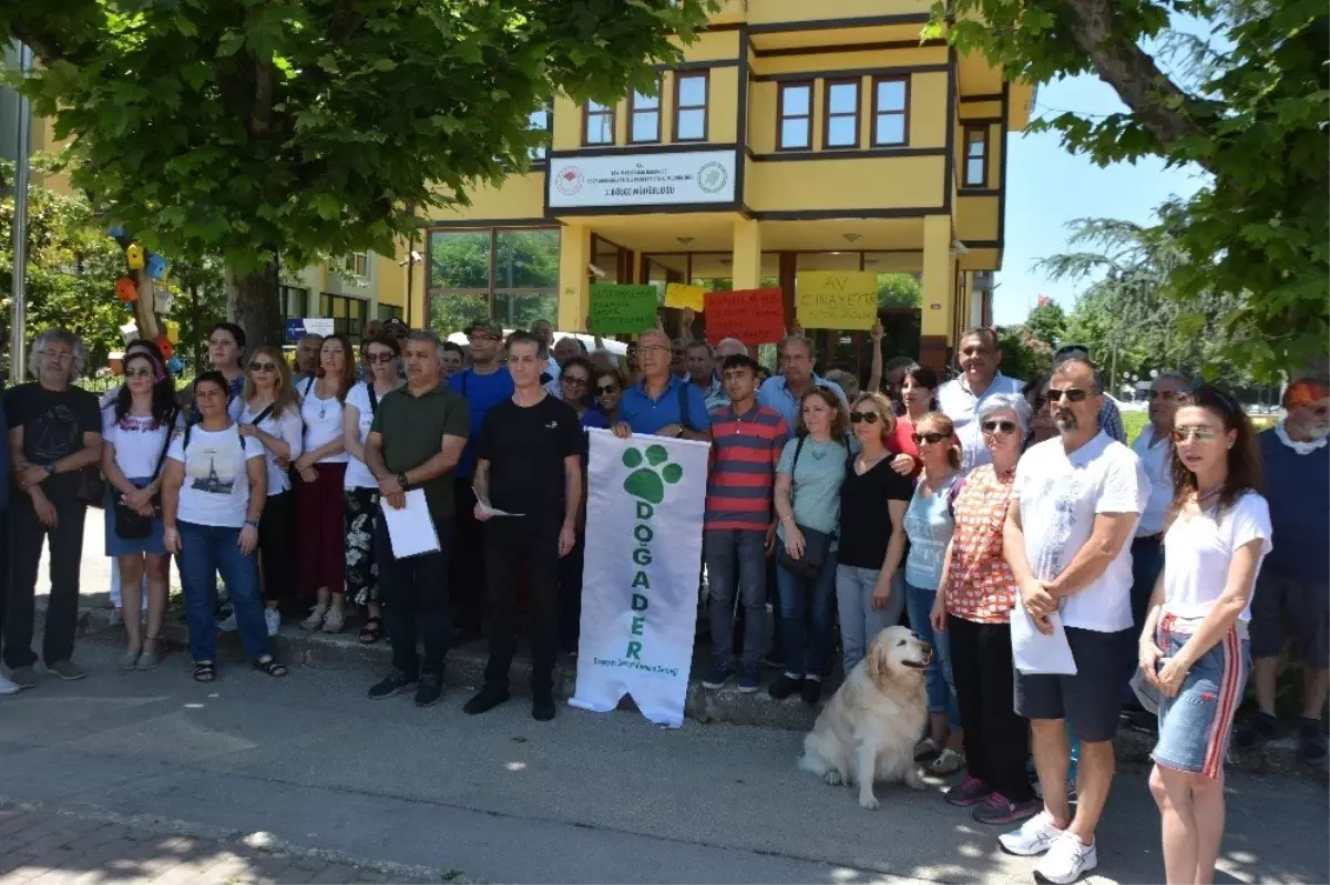 Turizm için geyiklerin ihaleye çıkmasına tepki