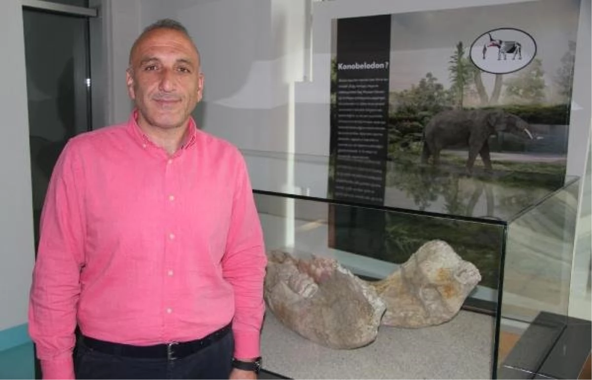 7,5 milyon yıllık fosillerin yer aldığı Kayseri Bilim Merkezi\'ne yoğun ilgi