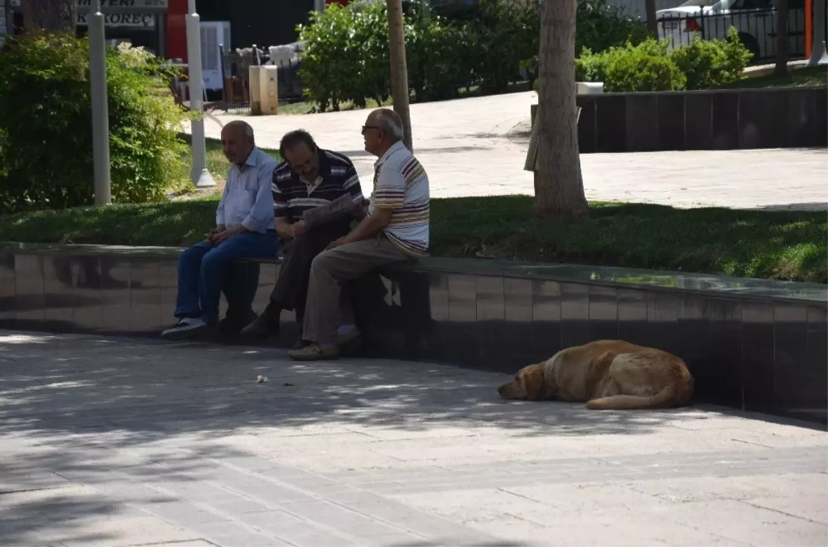Afrika sıcakları Denizli\'de de kendini hissettirdi