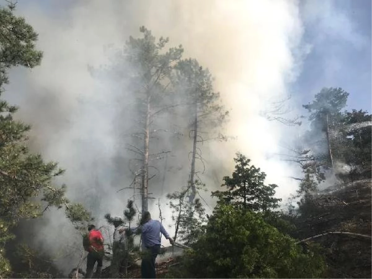 Eskişehir\'e ilçelerindeki ormanlık alanlara yıldırım düşmesi sonucu 13 hektar orman yandı