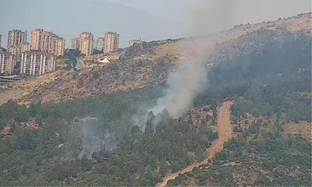 İzmir\'de ormanda çıkan yangın söndürüldü, yakan aranıyor