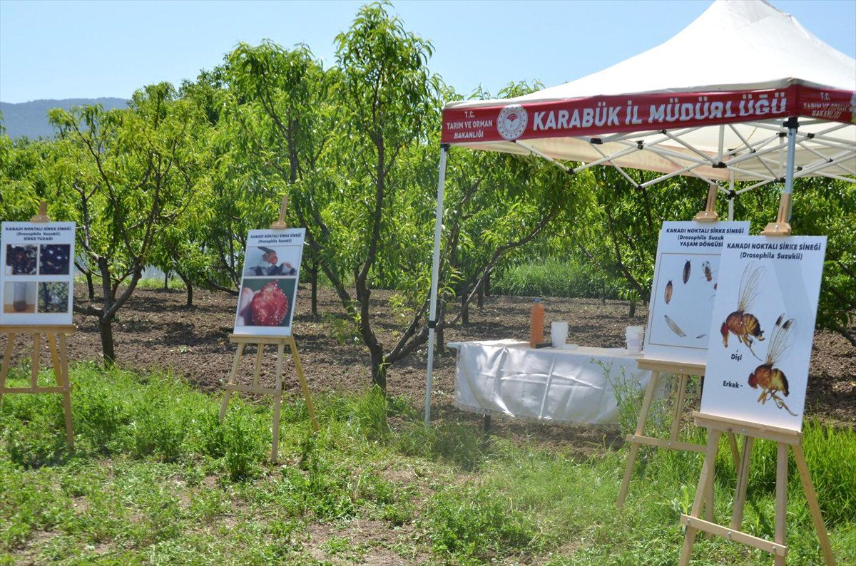 Karabük\'ten kısa kısa