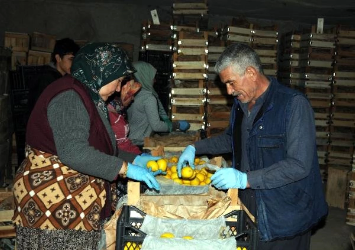 Limonlar, Kapadokya\'da kayadan oyma depolarda korunuyor