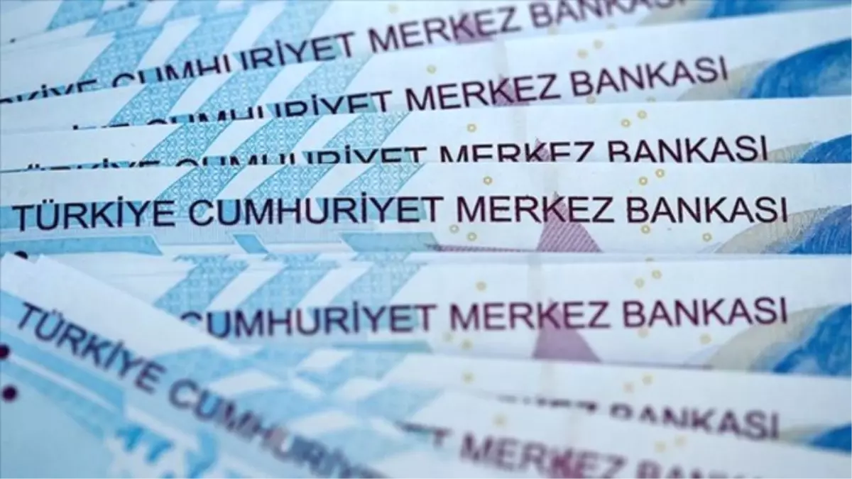 Merkez Bankası rezervleri arttı