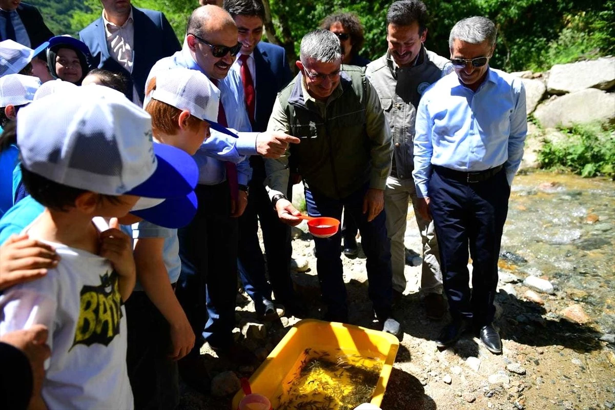 Taşkıran Solaklı Deresi\'ne 10 bin yavru alabalık bırakıldı