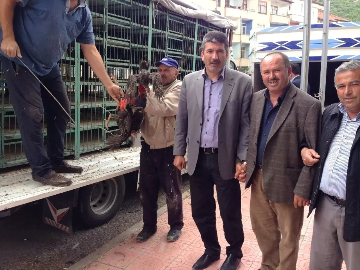 Akdağmadeni Ziraat Odası hindi ve tavuk dağıttı