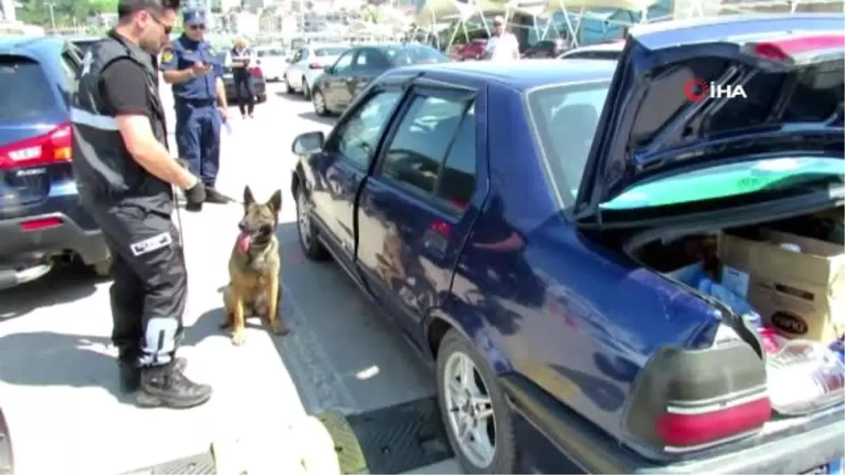 Feribota giden araçları narkotik köpeği \'Akad\' aradı