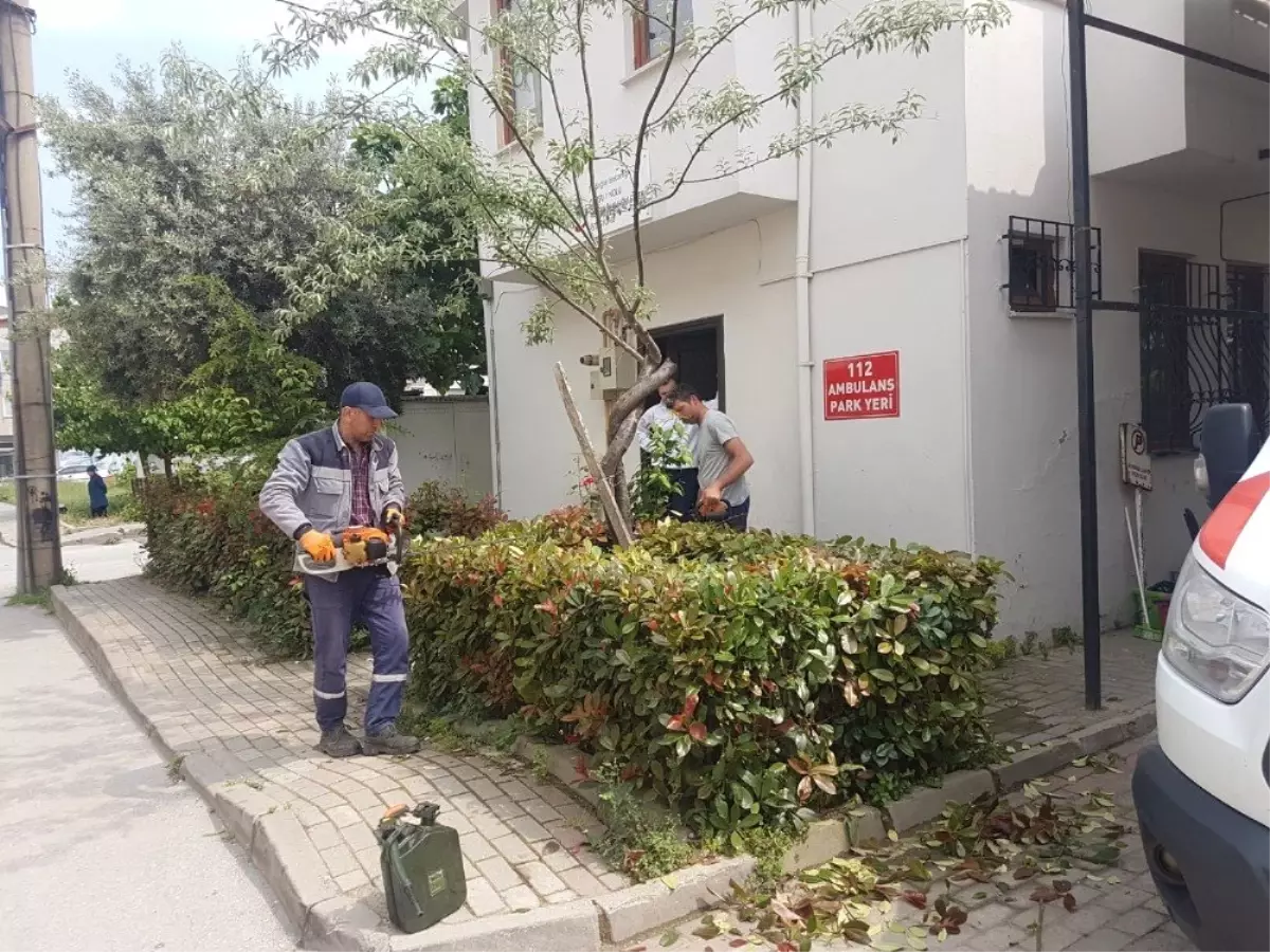 Gürsu\'da kamusal alanlarda yaz ışıltısı