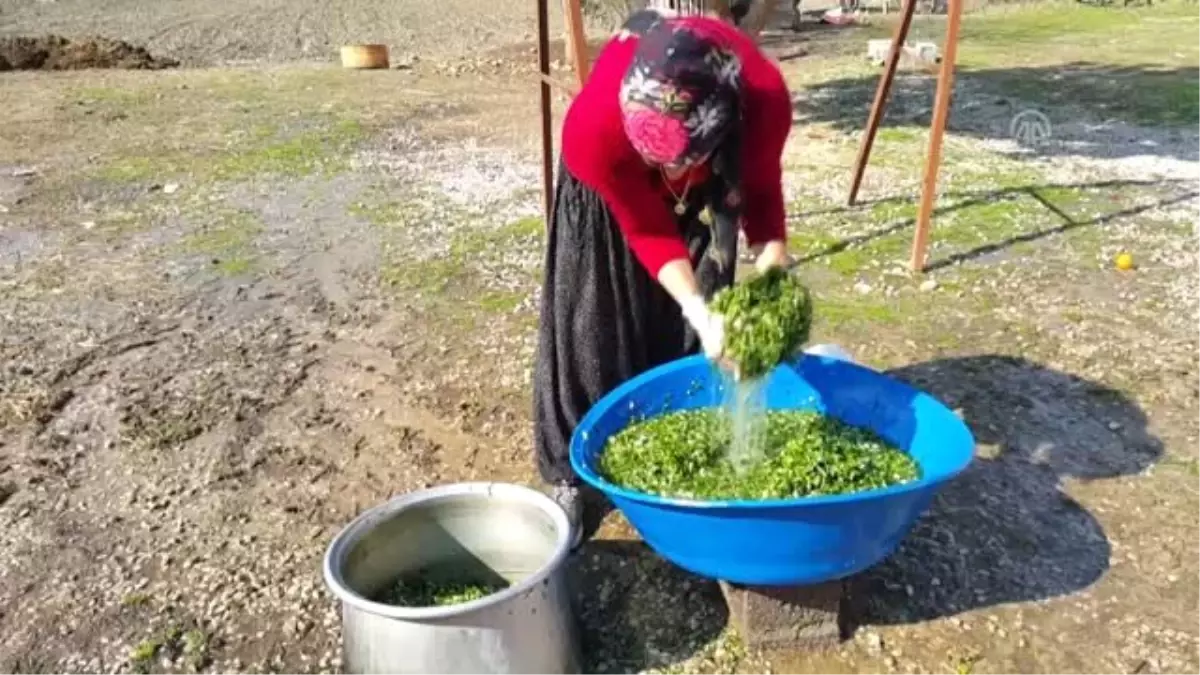 İftar sofralarının serin lezzeti: "Tirşik çorbası"