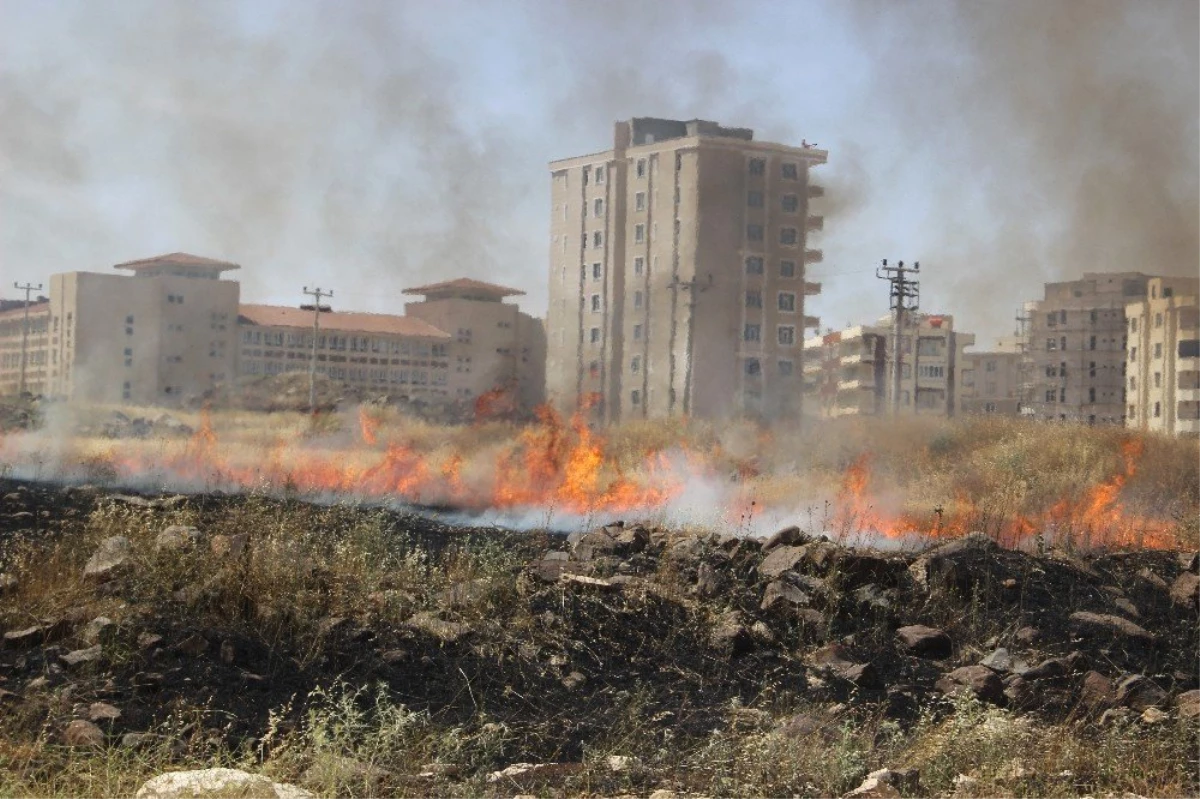 Şehir merkezinde çıkan arazi yangını çevredeki binaları etkiledi