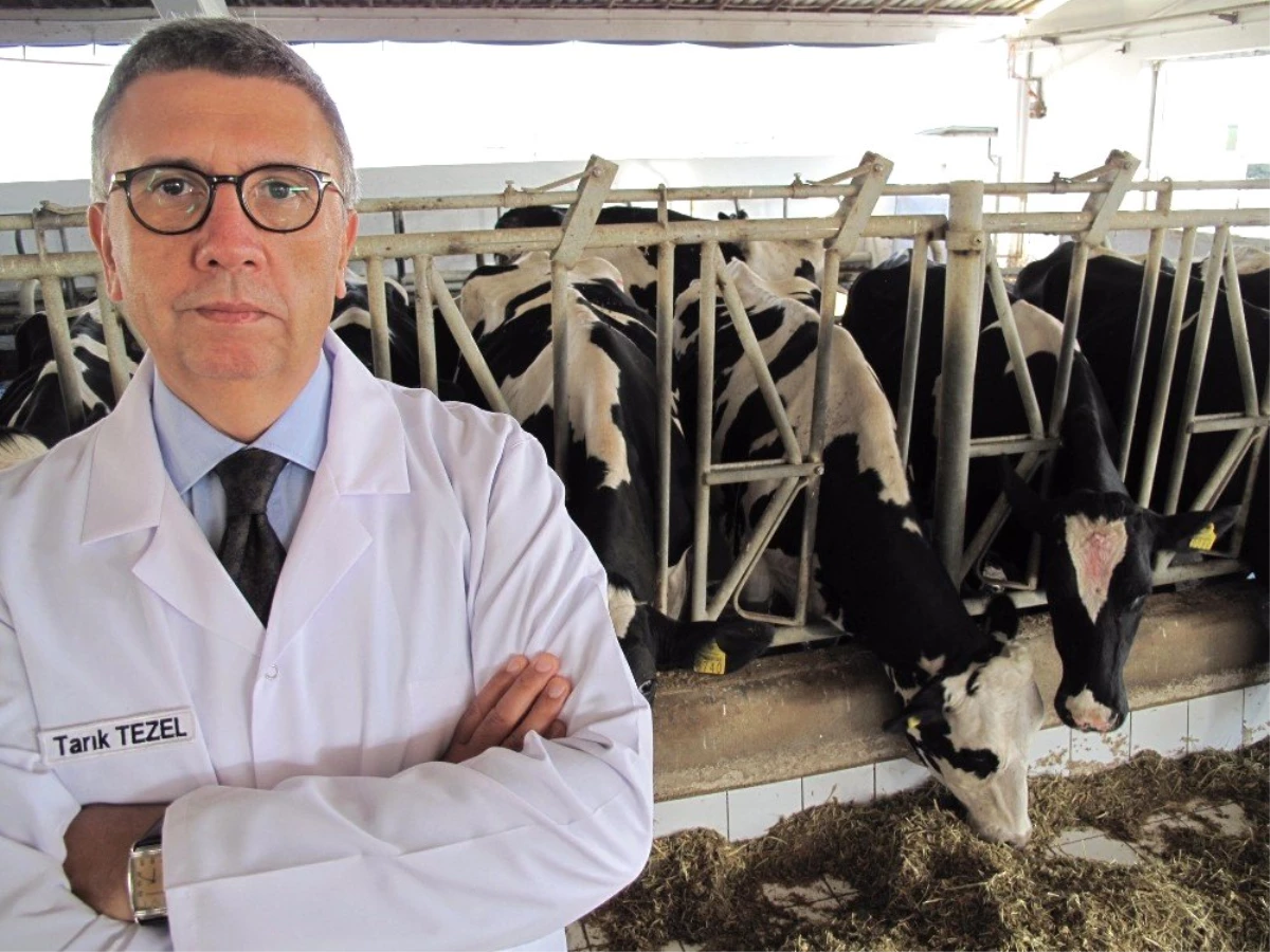 SETBİR Başkanı Tarık Tezel: "Sütümüz sağlıklı, bilginiz kirli"