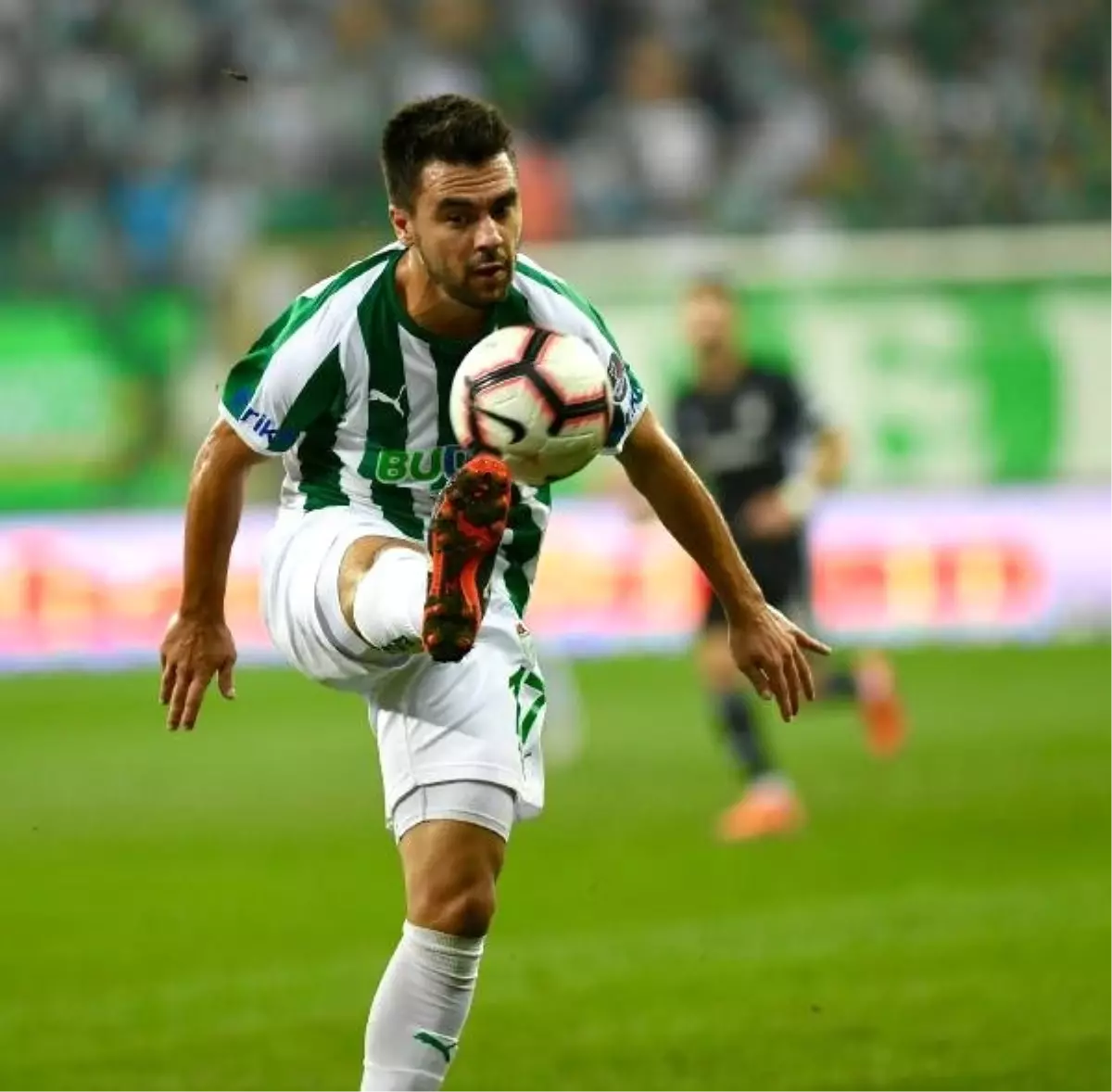 Bursaspor\'da yaprak dökümü