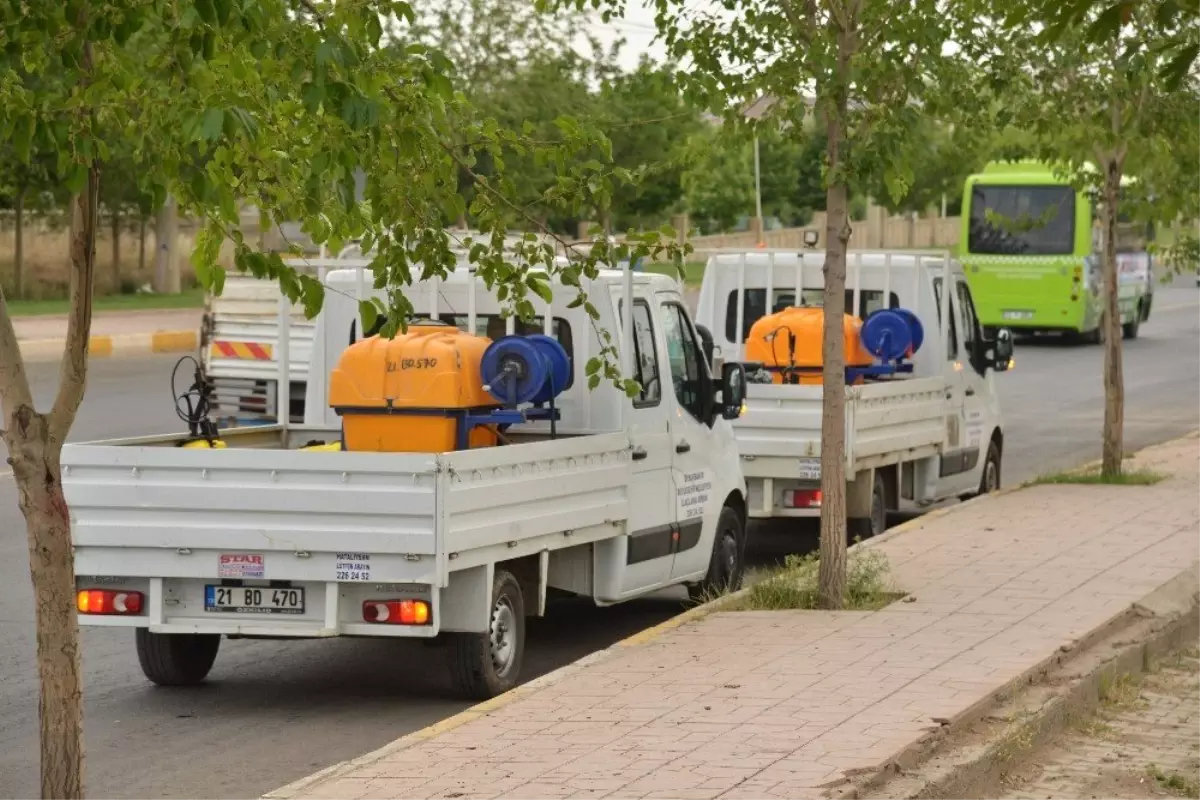 Diyarbakır Büyükşehir Belediyesi, ilaçlama çalışması başlattı