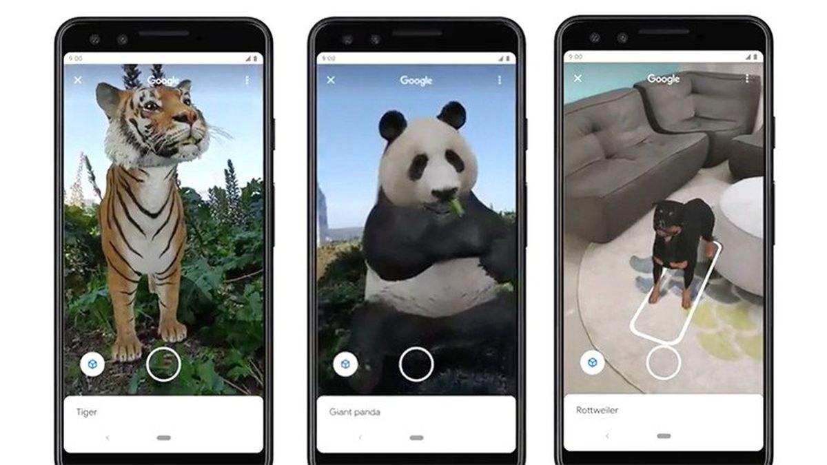 Google, Arama Uygulamasına Hayvanların Artırılmış Gerçeklik Modellerini Ekledi