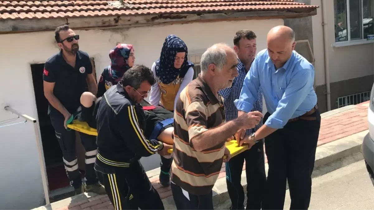 Kedilere mama vereyim derken 3 metre yükseklikten düşüp yaralandı