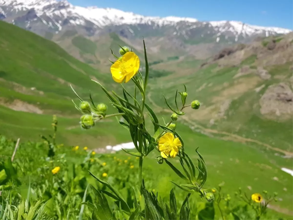 Keşfedilmemiş doğa harikaları göz kamaştırıyor