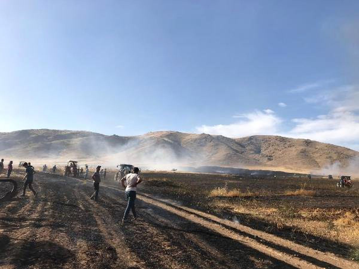 Kuru otlar alev aldı, buğday tarlası yandı