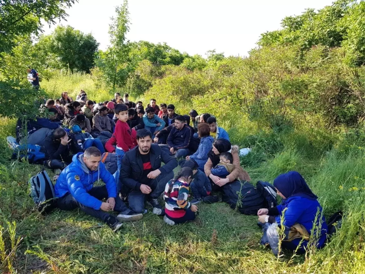 Ormanda böyle yakalandılar