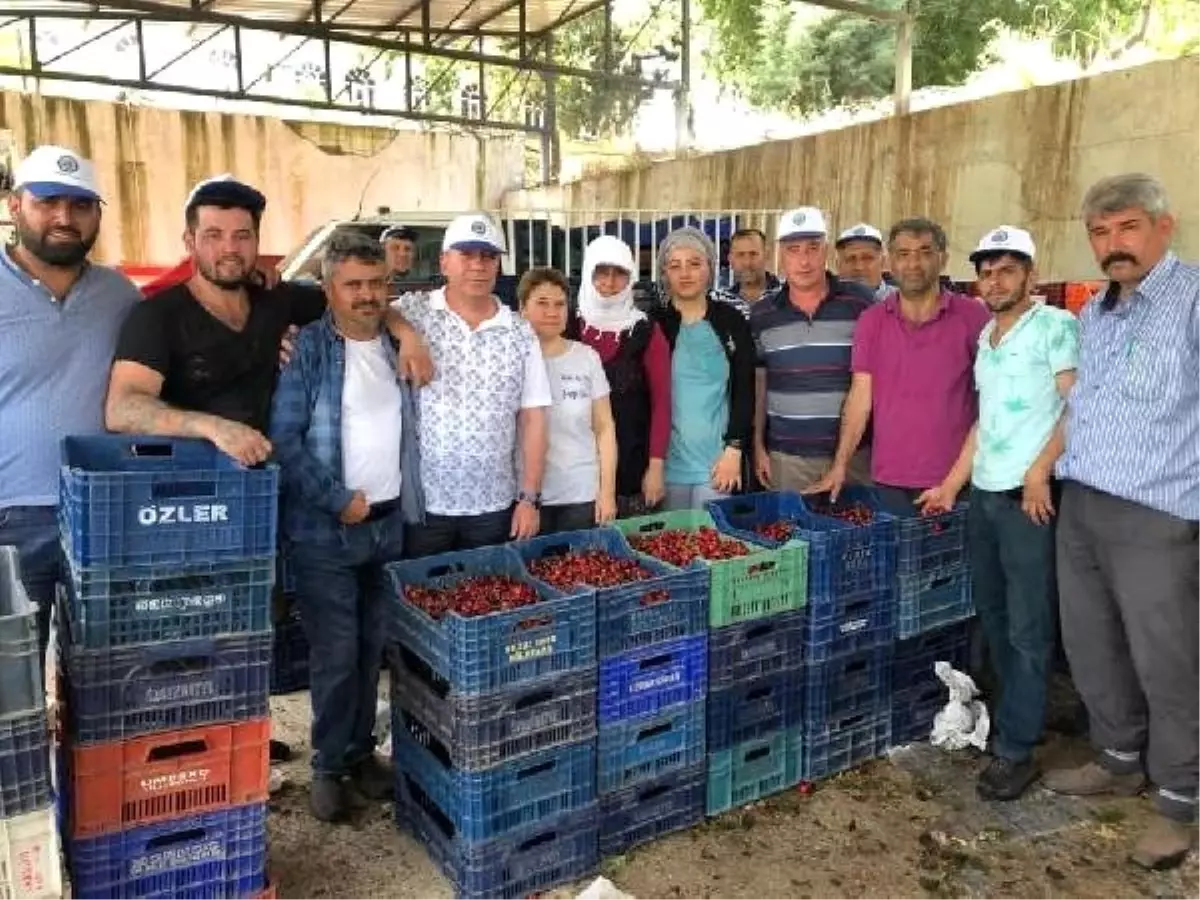 Salihli kirazı, fiyatıyla üreticiyi sevindirdi