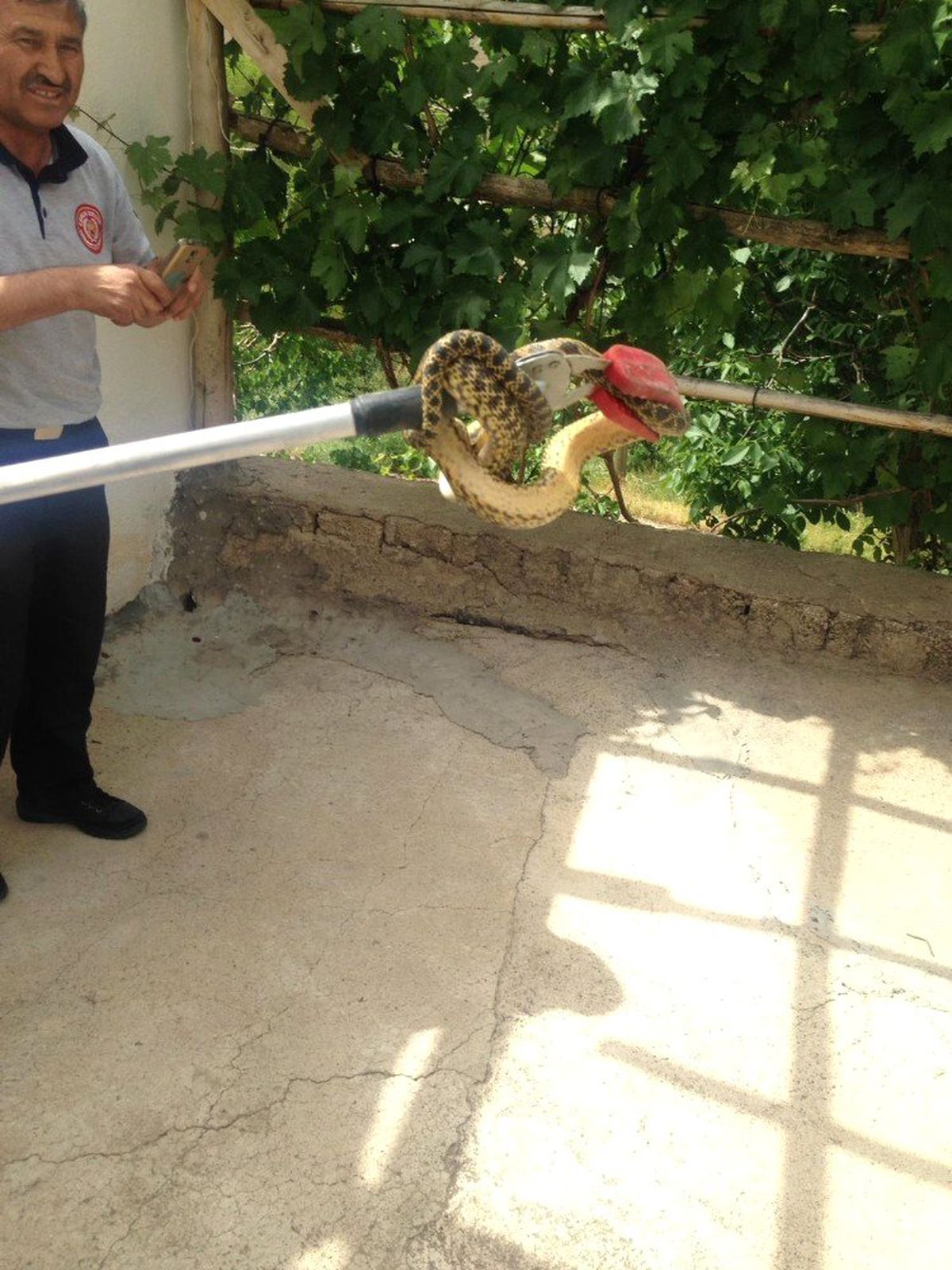 Eve giren yılanı itfaiye çıkardı