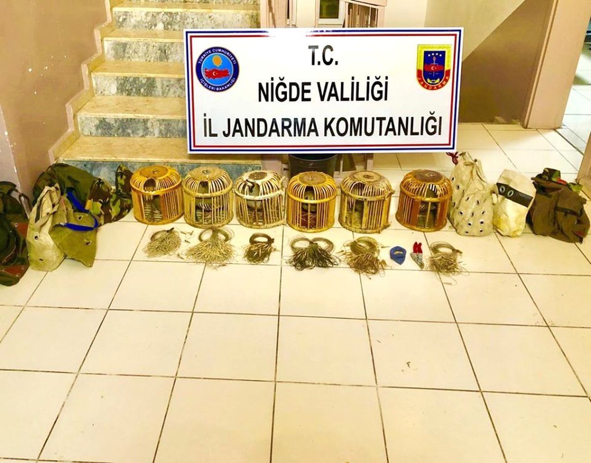 Jandarma keklik avcılarını yakaladı