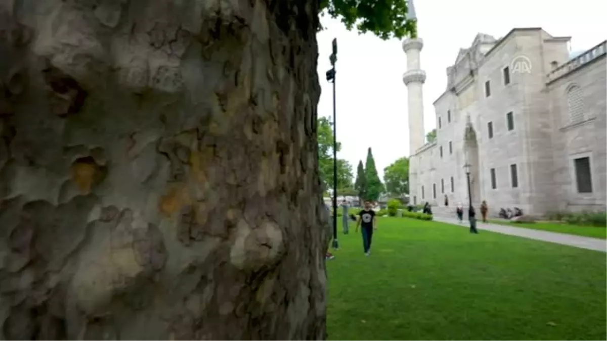 Süleymaniye Camisi\'nin avlusu çocuk gülüşleriyle şenlendi