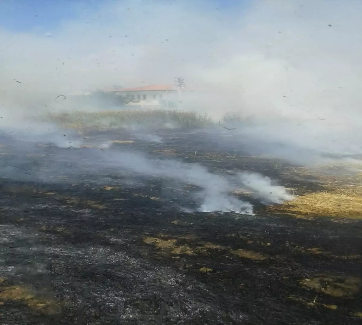 Arpa tarlası alev alev yandı