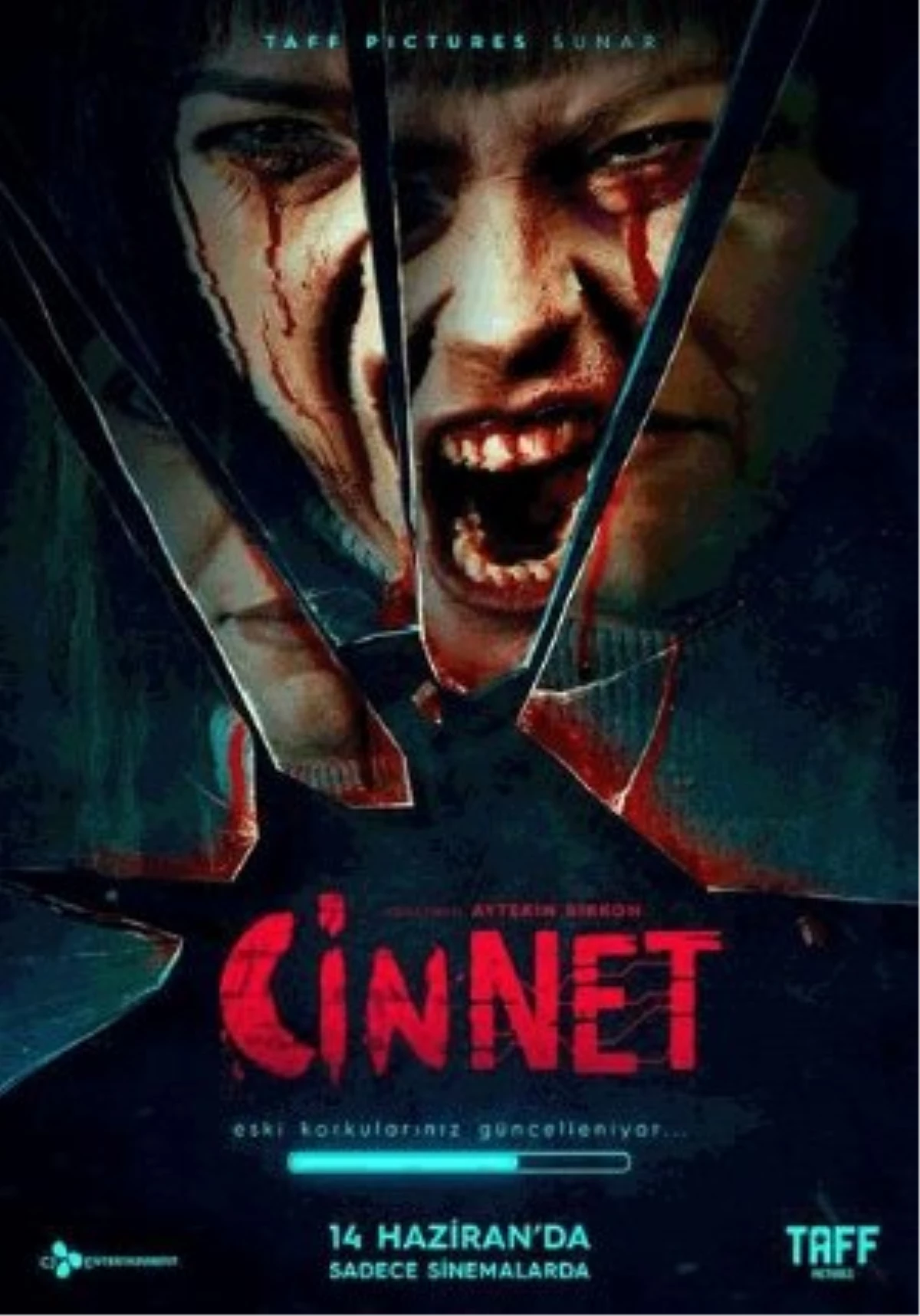 Cinnet Filmi