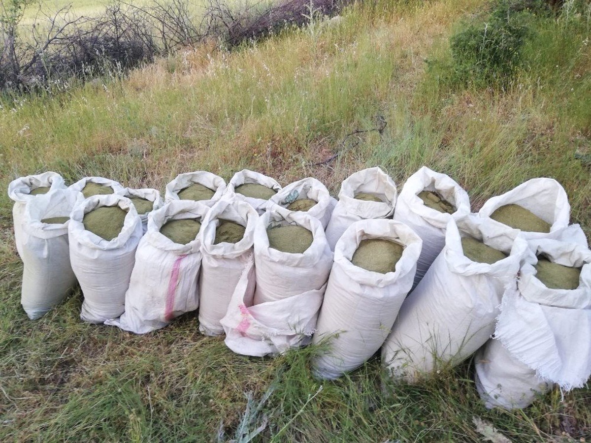 Terör örgütü PKK\'nın finans kaynağına büyük darbe