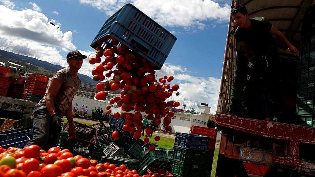 Video | Kolombiya\'nın \'Tomatina\' festivalinde tonlarca domates havada uçuştu