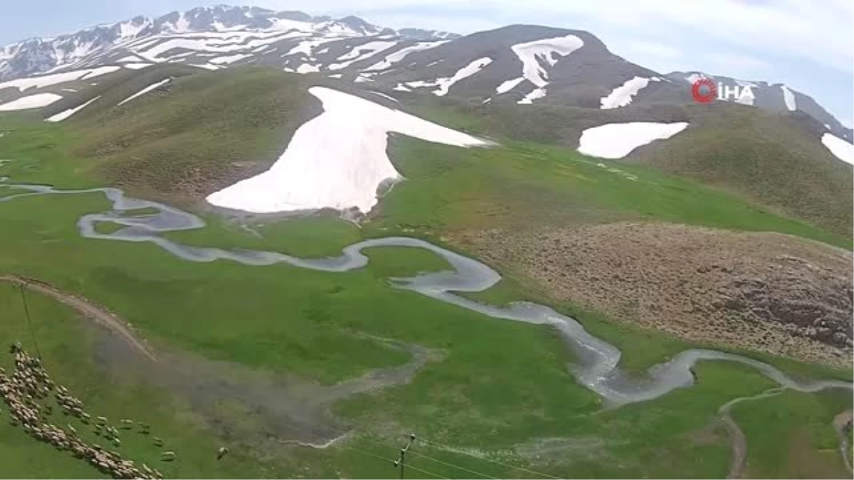 Antalya\'da Yörüklerin yayla göçü başladı