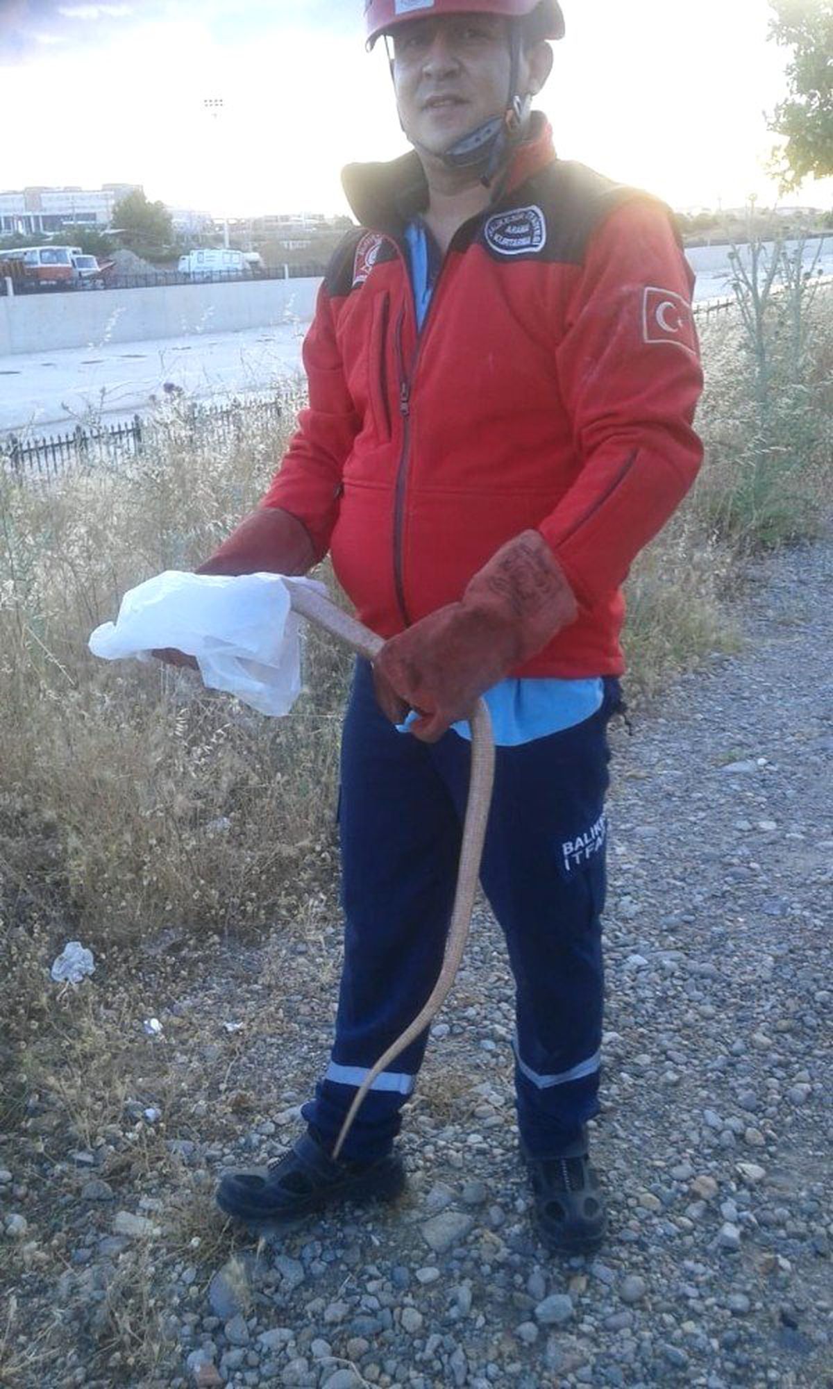 Burhaniye\'de itfaiyeden yılan operasyonu