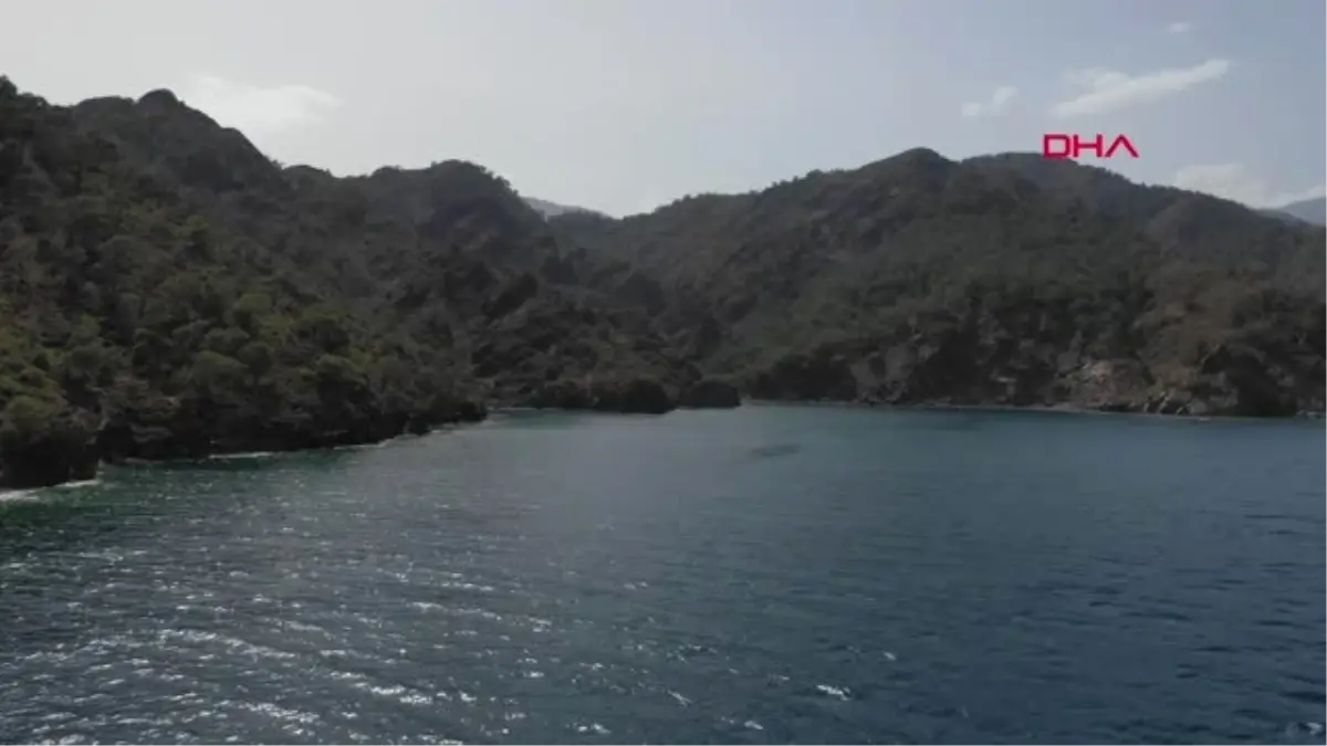 Kampta akrep soktu, UMKE ve Sahil Güvenlik kurtardı