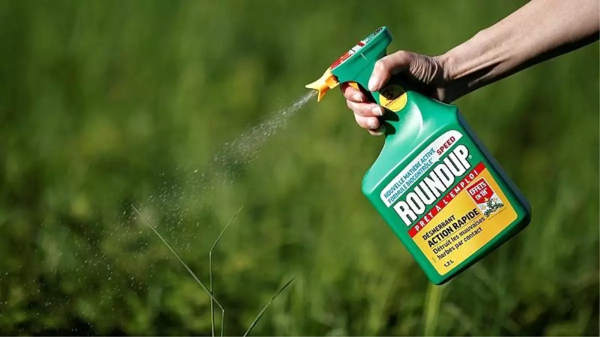 Monsanto\'ya bir dava da Avustralya\'dan: Kanser olan bahçıvan tazminat istiyor