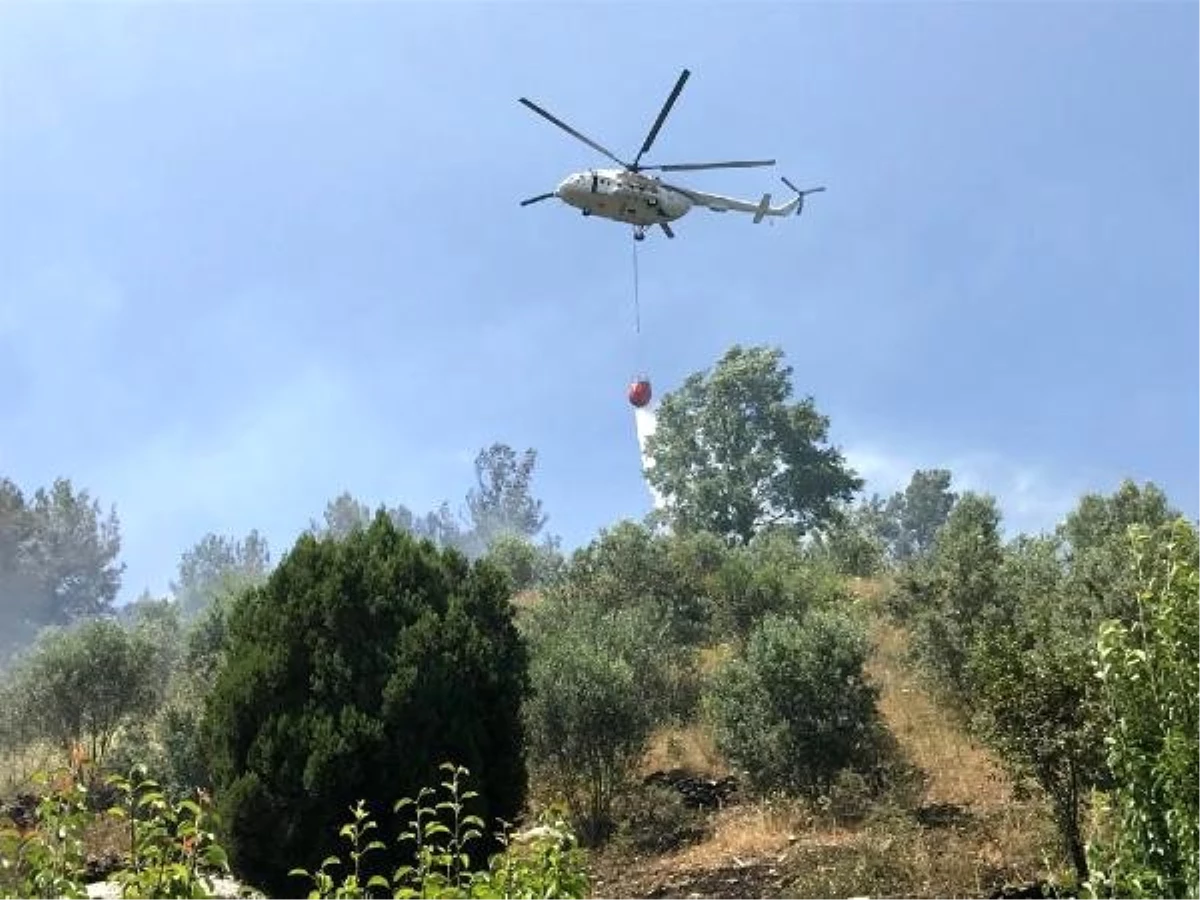 Akseki\'de orman ve tarım arazisinde yangın