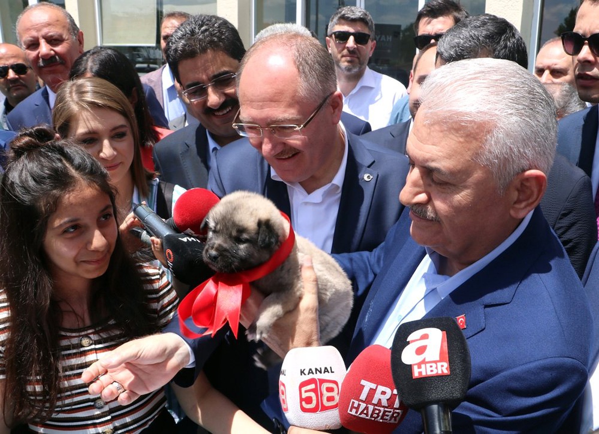 Binali Yıldırım: "Kiraz ağaçları gevrek olur düşmesin"