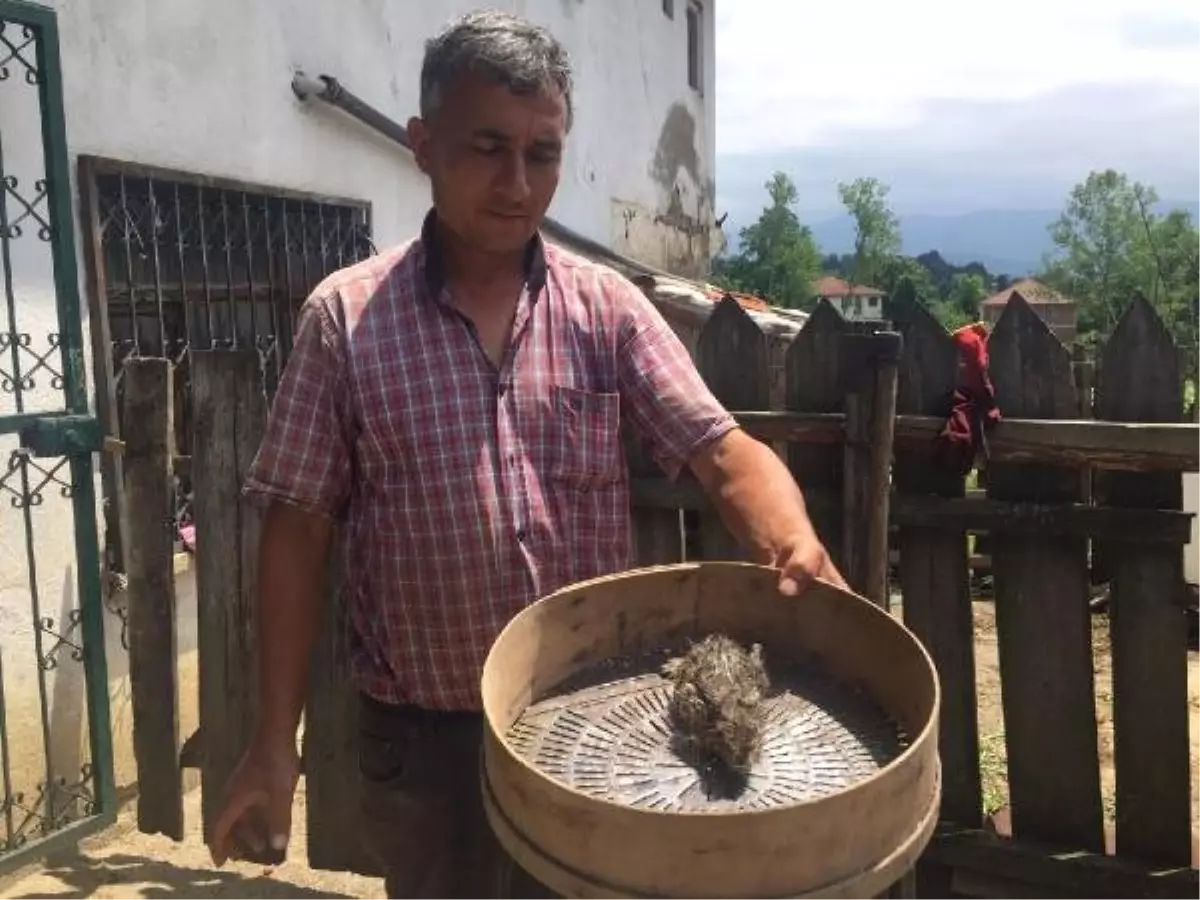 Çamura saplanan yavru tavşanı kurtardı