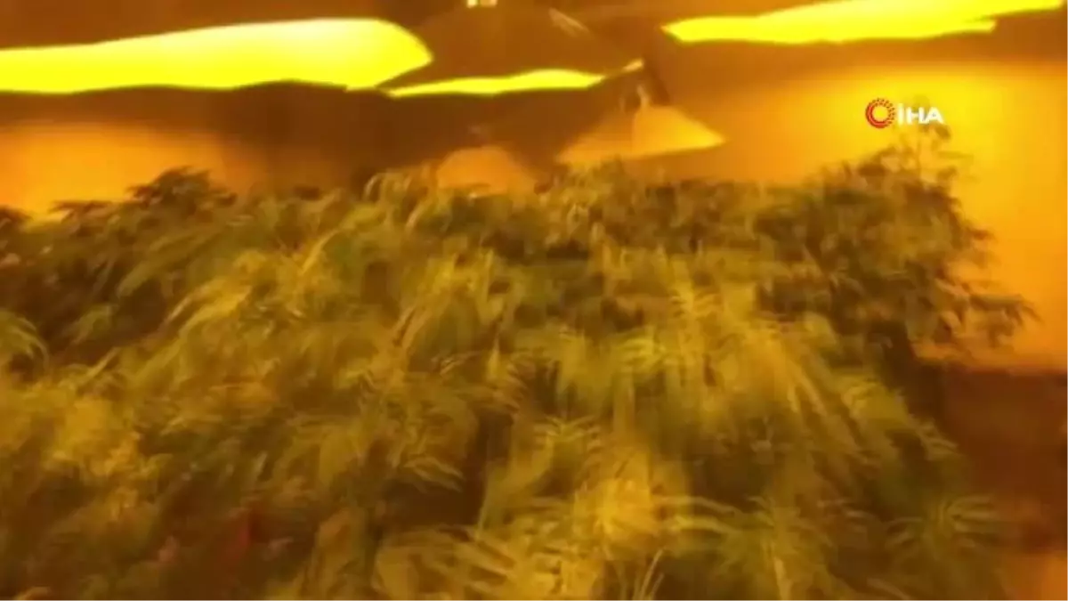 Hint keneviri yetiştirmek için oto yıkamacıya özel sistem kurdu