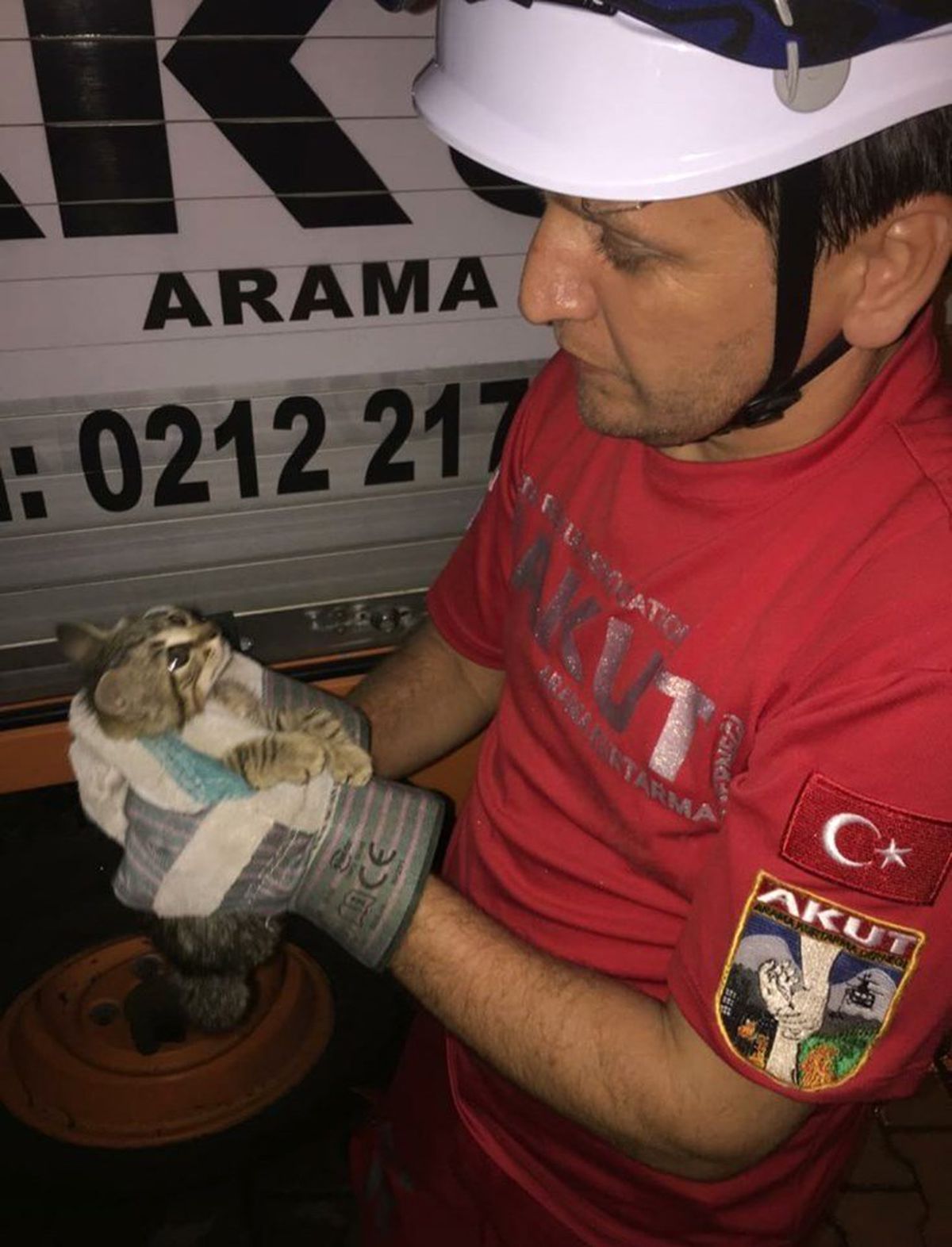 İnşatta mahsur kalan kedi kurtarıldı