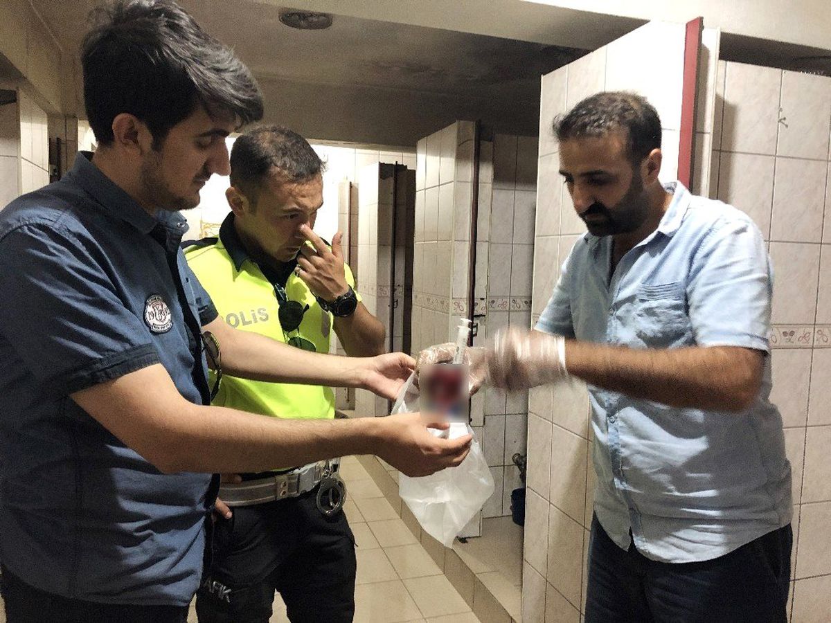 Alaplı asayiş ekipleri uyuşturucu avında
