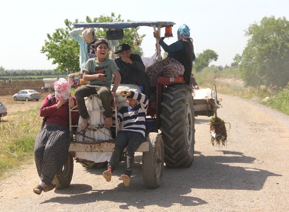 Başakçıların tehlikeli yolculuğu